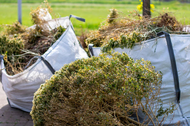 Best Junk Removal Near Me  in Paola, KS
